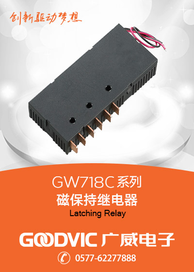 GW718C Series-Latching Relay